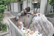 ورود شورا و شهرداری تهران به موضوع زباله‌گردها