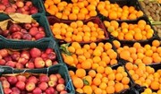 زمان توزیع میوه تنظیم بازار شب عید مشخص شد