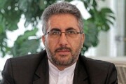 پشت پرده گرانی‌های اخیر از زبان رئیس تعزیرات استان تهران | اسفانی: شناسایی متخلفان سخت نیست