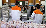 اعلام قیمت مصوب مرغ و تخم مرغ | برخورد قاطع با گرانفروشان