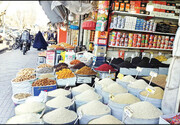 برنج ایرانی به سبد خانوار برمی گردد؟ | ارزانی برنج در راه است |  ۵۰۰ هزار تن برنج بیش از نیاز داخلی وارد می‌شود
