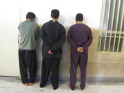 دستگیری باند سارقان حرفه‌ای منازل در زنجان