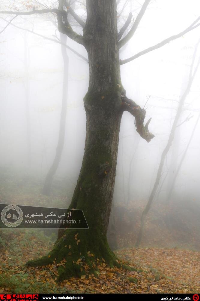 پاييز