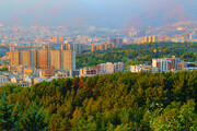 بام سبز تهران | راهنمای گشت و گذار در بوستان جنگلی لویزان