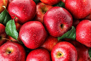 ۳۶ خاصیت سیب برای سلامتی و درمان بیماری‌ها