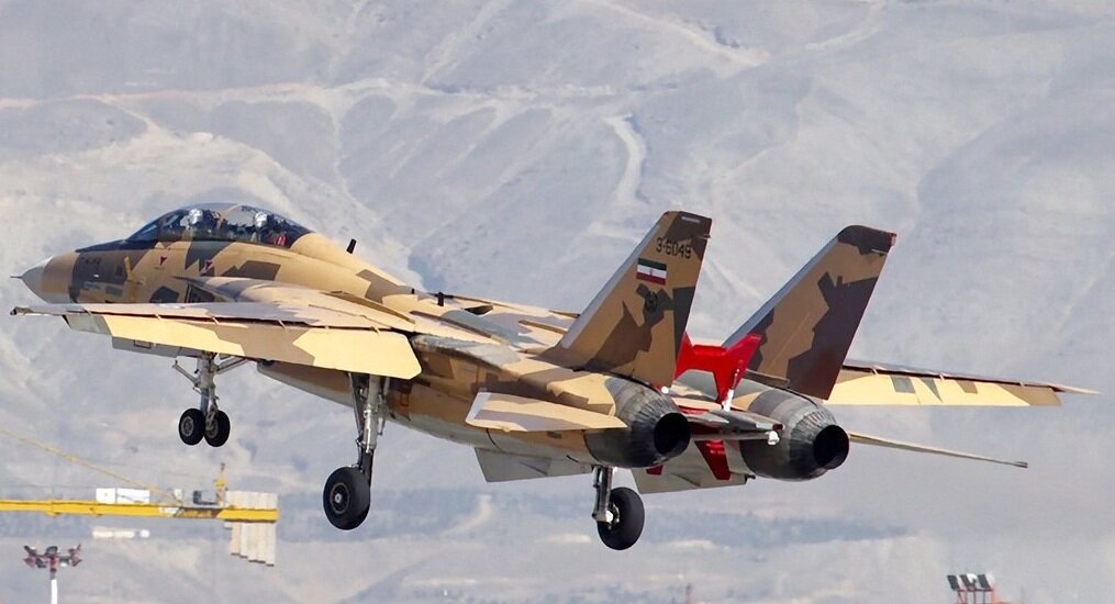 ایران چند فروند تام کت دارد؟ همه آنچه باید از اف-۱۴ ایران بدانیم