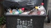زباله‌گردی افراد متمکن در تهران | پیشنهاد تعیین شهردار کوچه برای مدیریت پسماندهای خانگی خطرناک