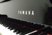 «یاماها» برای گمرک،‌حاشیه ساز شد  | پشت پرده واردات ۱۱ کانتینر ادوات موسیقی به کشور