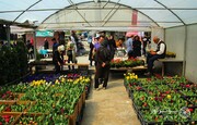 ایمن‌سازی بازار گل و گیاه شهید محلاتی