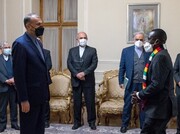 تصاویر | پوشش متفاوت یک دیپلمات | دیدار معاون وزیرخارجه زیمباوه با امیرعبداللهیان