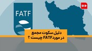 ویدئو | چرا FATF در مجمع مسکوت است؟ | پاسخ محمدرضا باهنر