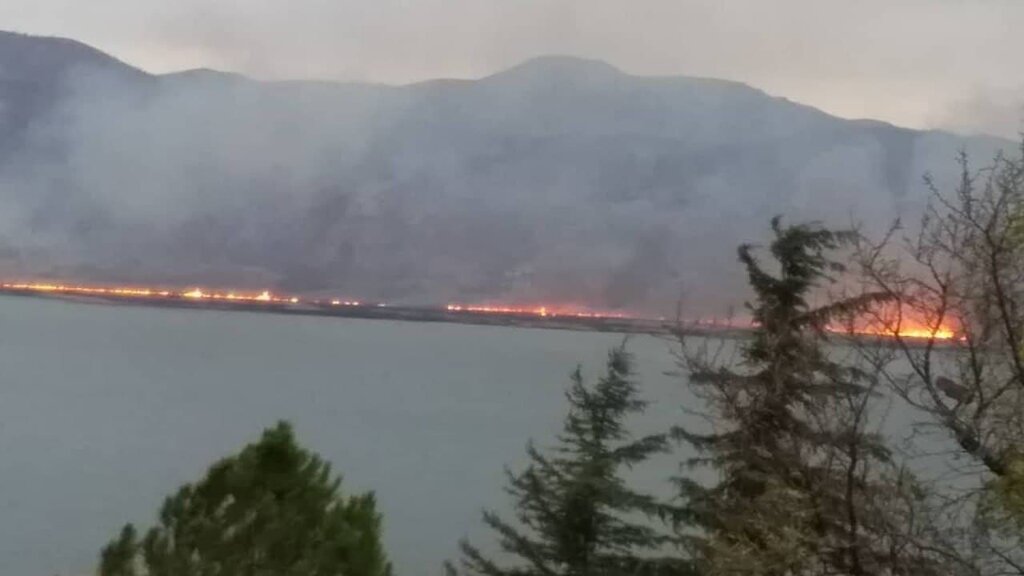 ویدئو | آتش‌سوزی نیزارهای دریاچه زریبار مریوان | علت وقوع حادثه عامل انسانی بوده است 