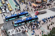 تصاویر | ۶ روش‌ منحصر به فرد در حمل و نقل شهری | از کاربرد تاکسی نارگیلی تا سبد حصیری در گوشه و کنار جهان