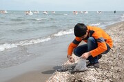راه اندازی گردشگری دریایی در مازندران