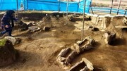 ۵ هیئت باستان‌شناسی مشغول مطالعات نجات‌بخشی در کانی‌سیب