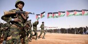 واکنش مقام الجزائری به ادعای حضور نیروهای ایرانی در صحرای غربی