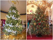 تصاویر | تزئینات کریسمس کاخ سفید و کاخ سلطنتی انگلستان | از بیمارستان زنجبیلی تا لباس نوجوانی ملکه