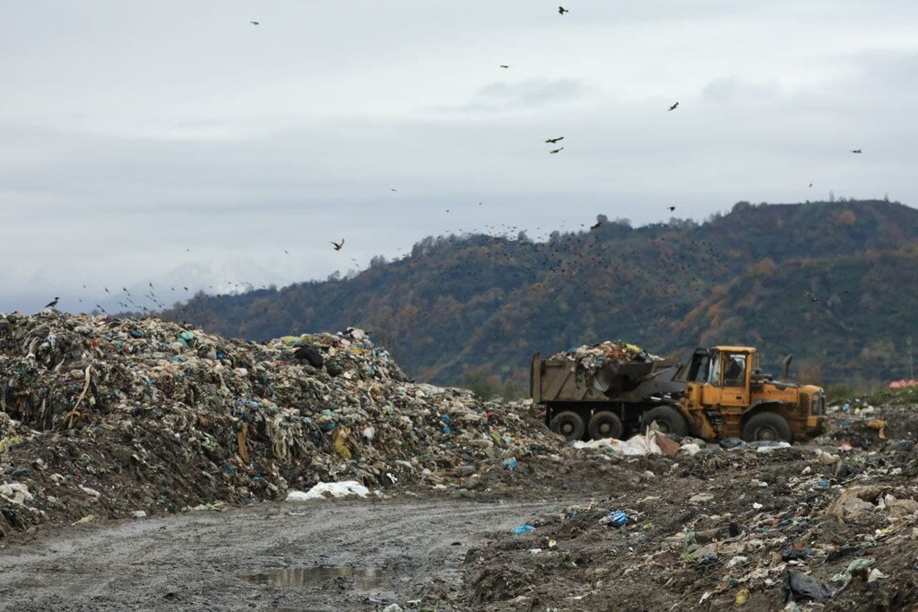 زباله‌خواری پرندگان در سایت جمع‌آوری زباله لنگرود