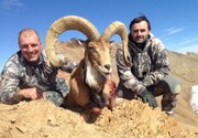 شکارچیان آمریکایی در ایران چه می‌کنند؟