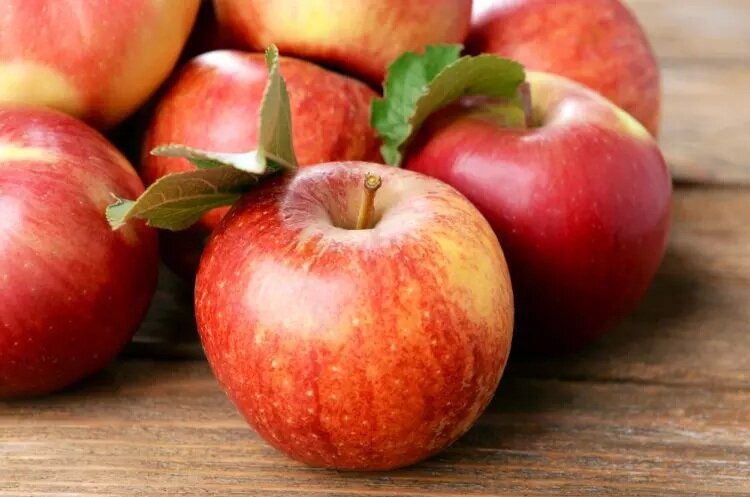 apple fruit - سیب - sib