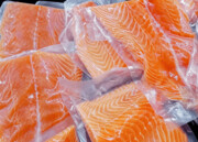 جدیدترین قیمت انواع ماهی در بازار | یک کیلو قزل‌ آلا منجمد ۱۷۳ هزار تومان
