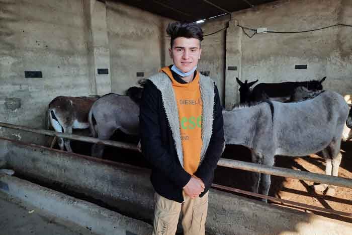  شیر تازه الاغ و عنبر نساء چند؟ | نوجوان ۱۵ ساله، بانی راه‌اندازی مزرعه پرورش الاغ در تهران