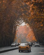 عکس | زیباترین حالت خیابان ولیعصر تهران را ببینید