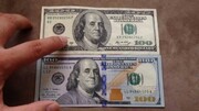 جزئیات سودجویی دلالان از دلار آبی و سفید