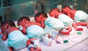 مادر شیرازی در دو زایمان ۷ بچه به دنیا آورد | آخرین وضعیت نوزادان به دنیا آمده!