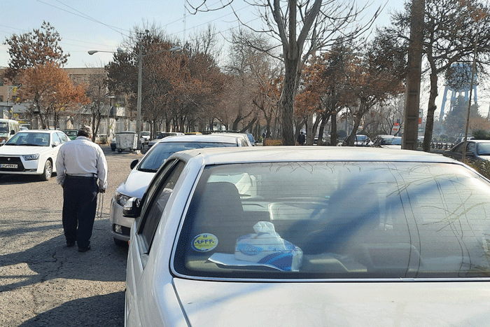 درآمد میلیونی؛ مثل آب خوردن! | یک خیابان در قرق پارکبانان قلابی