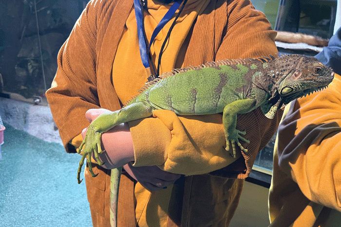 سفر به اعماق زمین از سعادت آباد!