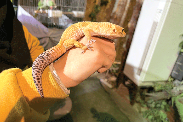 سفر به اعماق زمین از سعادت آباد!