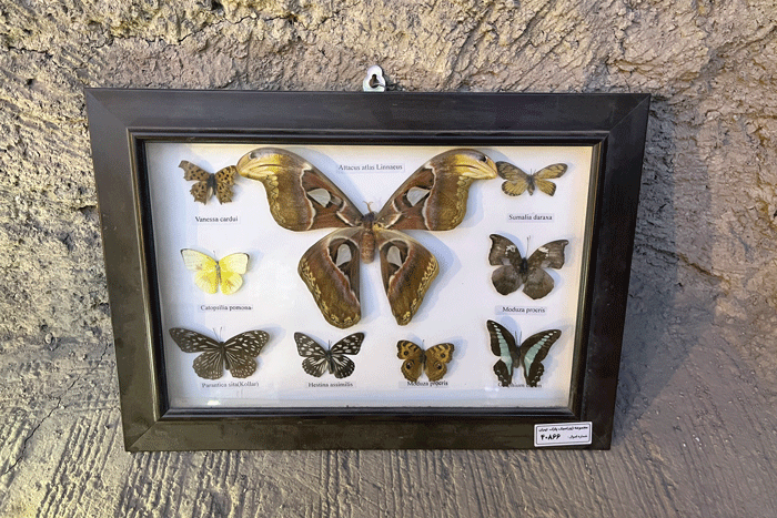 سفر به اعماق زمین از سعادت آباد!