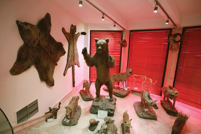 به تماشای خورشید و ماه در کنار گونههای متنوع جانوری