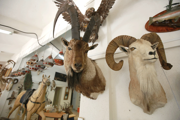 به تماشای خورشید و ماه در کنار گونههای متنوع جانوری