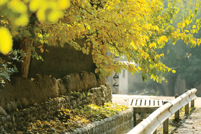 ظرفیتهای بالقوه گردشگری در کن | حفـظ بـاغها و درآمد پایدار برای باغداران با بـومگردی