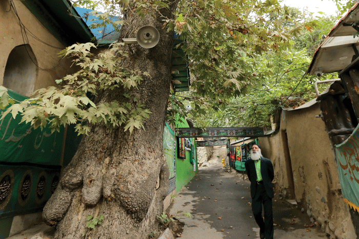 بزرگزادگان کـن