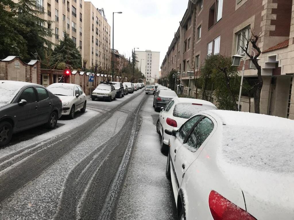 تصاویر | برف شمال تهران را سفیدپوش کرد