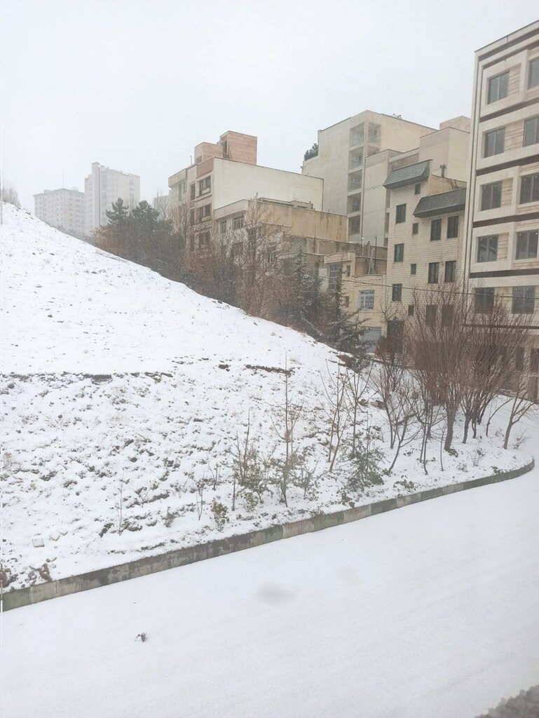 تصاویر | برف شمال تهران را سفیدپوش کرد