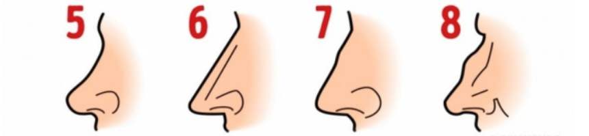 تصاویر | از روی فرم بینی شخصیتشناسی کنید