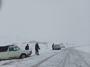 ببینید | استان اردبیل در محاصره برف و کولاک | بارش‌ها رکورد می‌شکند؟