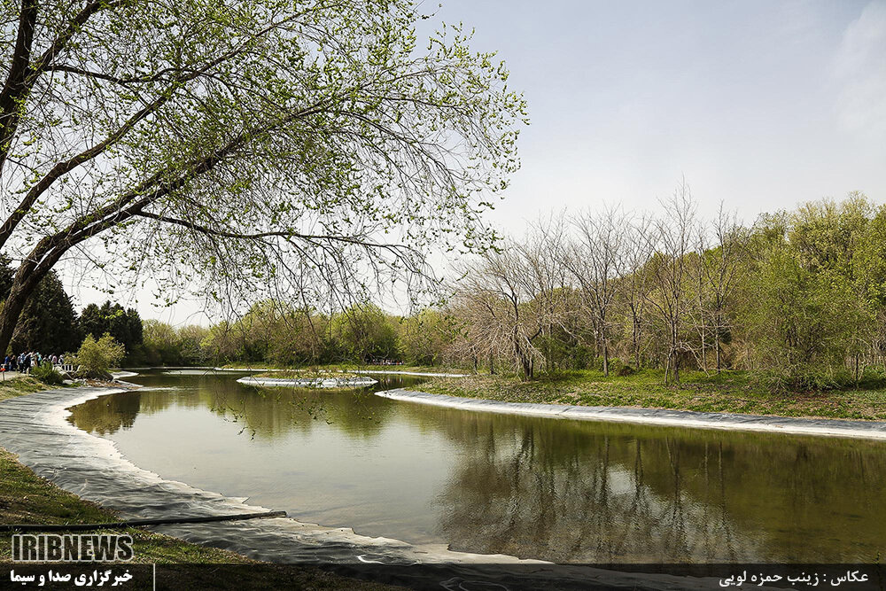 اختلاف نظر درباره مجوز ساخت جنجالی | زیباترین باغ گیاه شناسی جهان در معرض نابودی | حقوقدانها چه میگویند؟