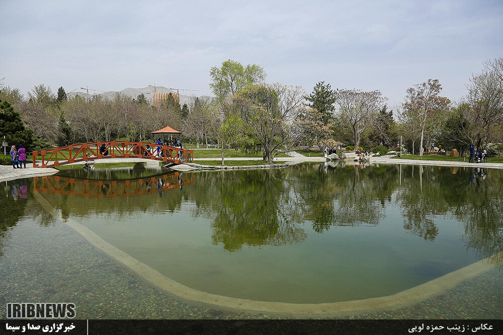 اختلاف نظر درباره مجوز ساخت جنجالی | زیباترین باغ گیاه شناسی جهان در معرض نابودی | حقوقدانها چه میگویند؟