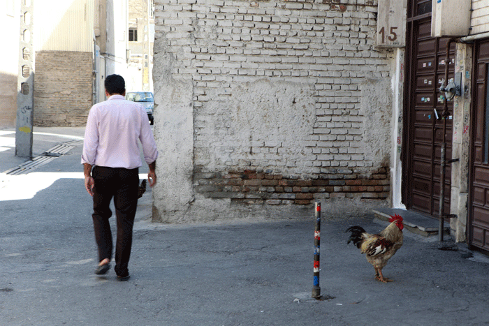 مقصد مهاجران اردبیلی بعد از جنگ چهانی دوم کجا بود؟ | دشت مغانیها در کمپ سربازان شوروی