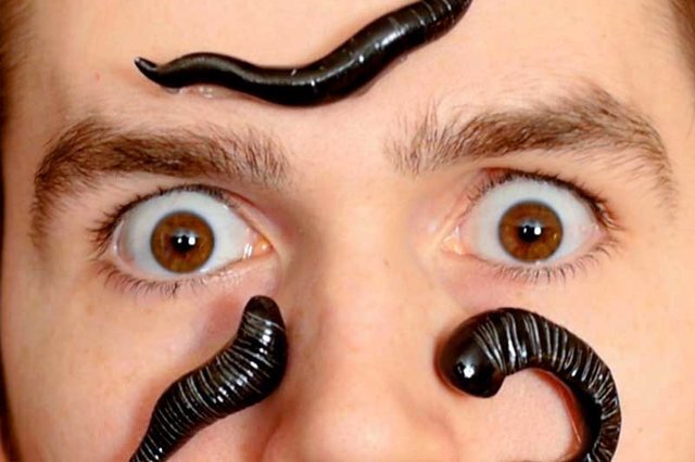 زالو و ۱۲۰ ماده مفیدی که وارد بدنتان میکند | کوچکترین و هوشمندترین جراح طبیعی جهان را بشناسید