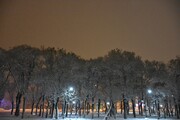 تصاویر | آغاز بارش برف در کرج