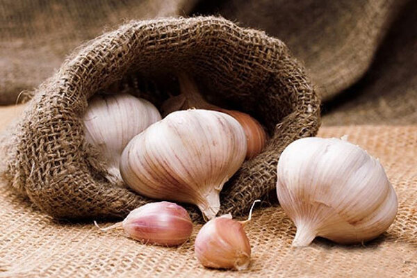 سیستم ایمنی بدنتان را با این مواد غذایی تقویت کنید