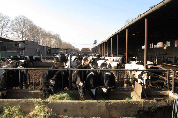 منشا، بوی نامطبوع اطراف فرودگاه بینالمللی تهران مشخص شد