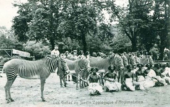 تصاویر | تا حالا باغوحش انسانی دیده بودید؟