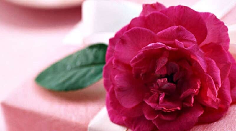 روز زن را با این روشها برای همسرتان ماندگار کنید